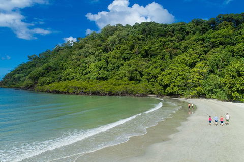 Daintree Rainforest, Cape Tribulation And Bloomfield Track Small Group Tour - Timeshare Accommodation 2