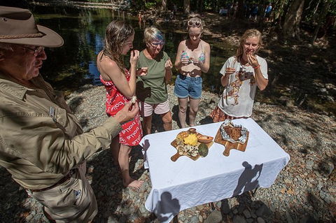 Daintree Rainforest, Cape Tribulation And Bloomfield Track Small Group Tour - Timeshare Accommodation 10