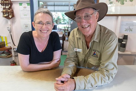 Daintree Rainforest, Cape Tribulation And Bloomfield Track Small Group Tour - Timeshare Accommodation 6