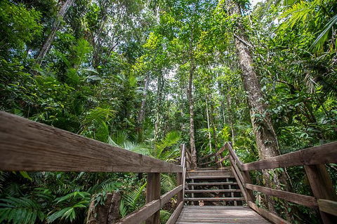 Daintree Rainforest, Cape Tribulation And Bloomfield Track Small Group Tour - Timeshare Accommodation 13