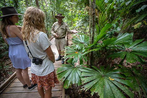 Daintree Rainforest, Cape Tribulation And Bloomfield Track Small Group Tour - Timeshare Accommodation 12