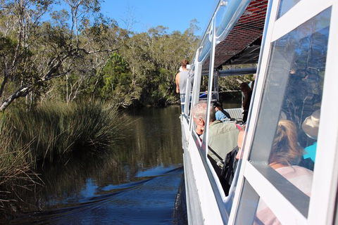 Noosa Everglades Serenity Cruise & Highlights Tour Inc. Lunch & Cruise - Timeshare Accommodation 10