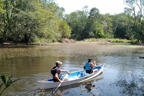Noosa Hinterland Scenic Canoe Tour - Timeshare Accommodation 4