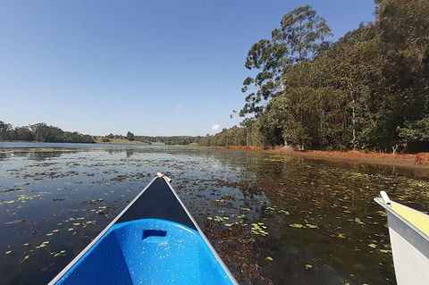 Noosa Hinterland Scenic Canoe Tour - Timeshare Accommodation 2