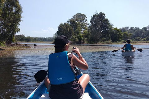 Noosa Hinterland Scenic Canoe Tour - Timeshare Accommodation 6