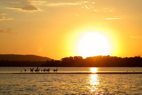 Noosa River Cruise For 3 To 4 People On A Classic Mahogany Speed Boat - 90 Min. - Timeshare Accommodation 6