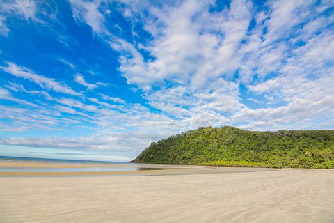 Daintree Afternoon Nocturnal Nature And Wildlife Tour - Timeshare Accommodation 8