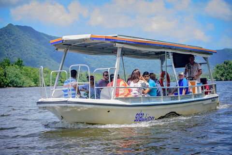 Daintree Afternoon Nocturnal Nature And Wildlife Tour - Timeshare Accommodation 6
