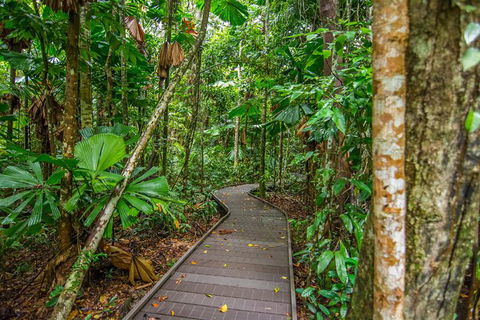Daintree Afternoon Nocturnal Nature And Wildlife Tour - Timeshare Accommodation 9