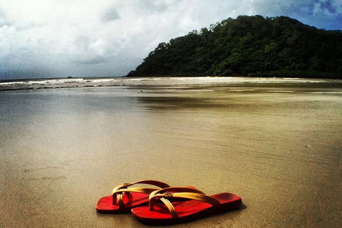 Daintree And Cape Tribulation Full Day Guided Tour - Timeshare Accommodation 7