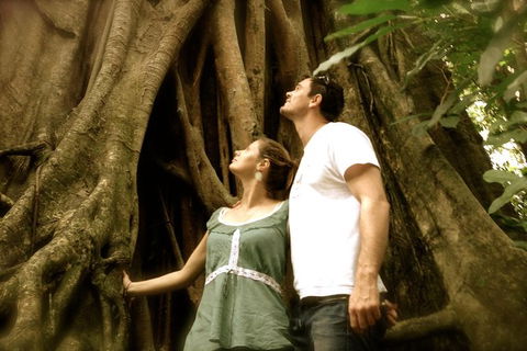Daintree And Cape Tribulation Full Day Guided Tour - Timeshare Accommodation 0