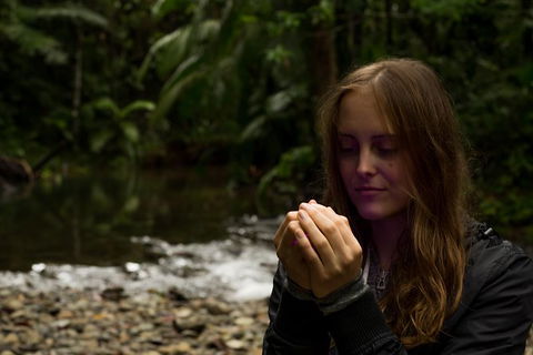 Daintree And Cape Tribulation Full Day Guided Tour - Timeshare Accommodation 4