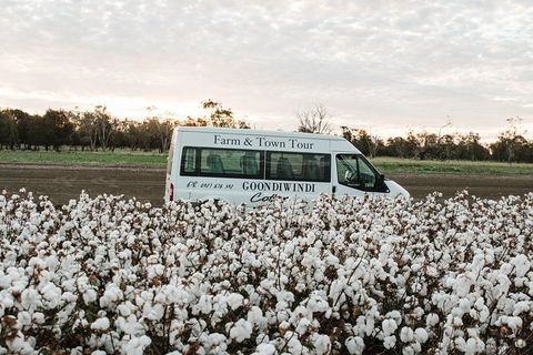 Discover Farming In Goondiwindi - Timeshare Accommodation 8
