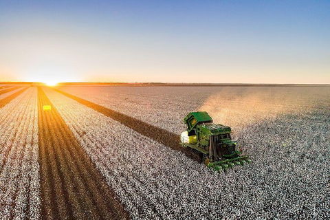 Discover Farming In Goondiwindi - Timeshare Accommodation 7