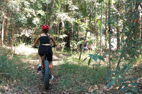 Noosa Hinterland Scenic Canoe & FAT Bike Tour - Timeshare Accommodation 1