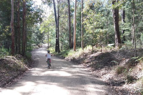 Noosa Hinterland Scenic Canoe & FAT Bike Tour - Timeshare Accommodation 4