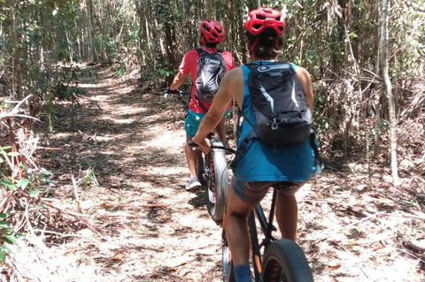 Noosa Hinterland Scenic Canoe & FAT Bike Tour - Timeshare Accommodation 3