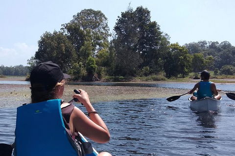 Noosa Hinterland Scenic Canoe & FAT Bike Tour - Timeshare Accommodation 0