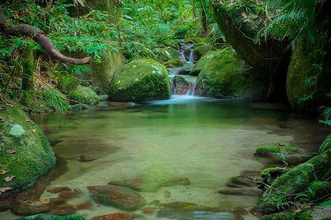 SHUTTLE - Mossman Gorge & Cooya Beach From Port Douglas (Return Transfer) - Timeshare Accommodation 2