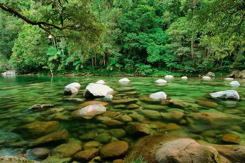 SHUTTLE - Mossman Gorge & Cooya Beach From Port Douglas (Return Transfer) - Timeshare Accommodation 3