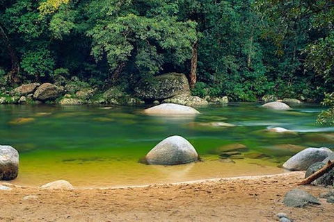 SHUTTLE - Mossman Gorge & Cooya Beach From Port Douglas (Return Transfer) - Timeshare Accommodation 1