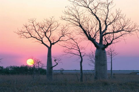 8-Day Outback Experience From Queensland - Timeshare Accommodation 0