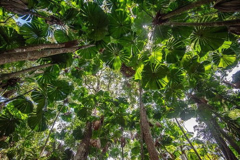 5 Day Australia Retreat: Queensland Daintree - Timeshare Accommodation 4