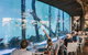 Cairns Aquarium Tour By Twilight With Drink And Appetiser - thumb 1
