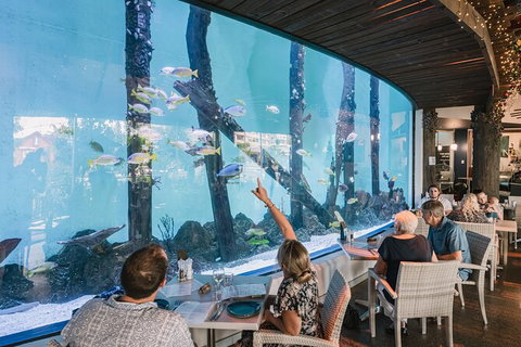 Cairns Aquarium Tour By Twilight With Drink And Appetiser - Timeshare Accommodation 1