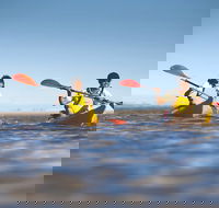 Kangaroo Island Self-Guided Kayaking on the Harriet River - Timeshare Accommodation