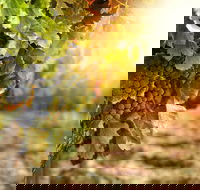 Kangaroo Island Half Day Food and Wine Trail Tour - Timeshare Accommodation