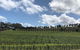 Intimate Wine Experience - Barossa Valley - thumb 8