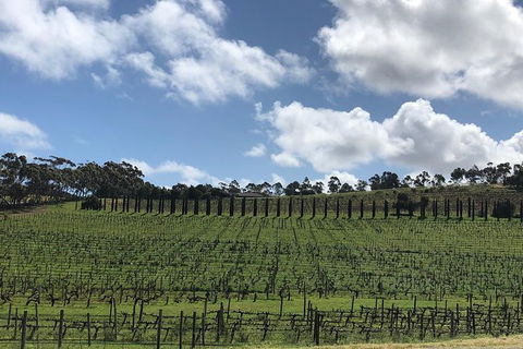 Intimate Wine Experience - Barossa Valley - Timeshare Accommodation 8