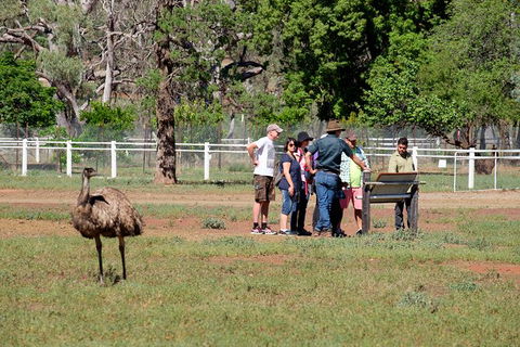 Yura Udnyu - Our Culture, Your Culture (Aboriginal Cultural Walk) - Timeshare Accommodation 5