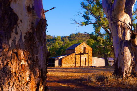 Yura Udnyu - Our Culture, Your Culture (Aboriginal Cultural Walk) - Timeshare Accommodation 2