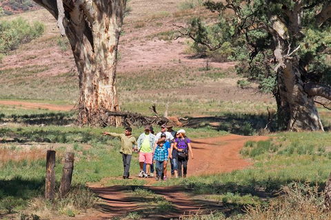 Yura Udnyu - Our Culture, Your Culture (Aboriginal Cultural Walk) - Timeshare Accommodation 1