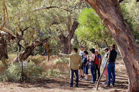 Yura Udnyu - Our Culture, Your Culture (Aboriginal Cultural Walk) - Timeshare Accommodation 8