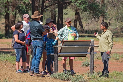Yura Udnyu - Our Culture, Your Culture (Aboriginal Cultural Walk) - Timeshare Accommodation 7