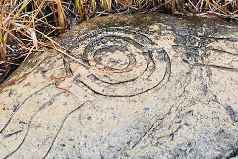 Adelaide Cultural Safari - Private Charters - Timeshare Accommodation 2