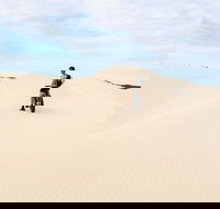 Kangaroo Island 2 Hour Bike Tour - Timeshare Accommodation