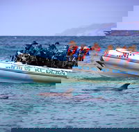 Kangaroo Island 75-Minute Ocean Safari - Timeshare Accommodation