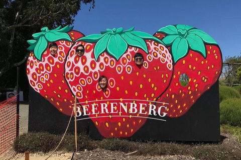 Adelaide Driving Tour - Timeshare Accommodation 1