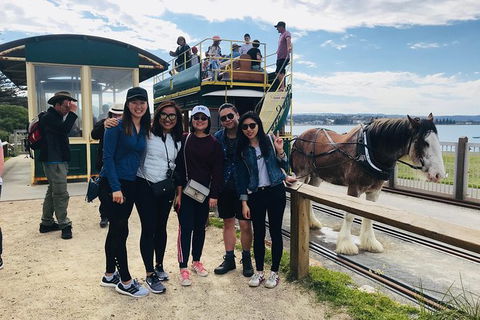 Adelaide Driving Tour - Timeshare Accommodation 3