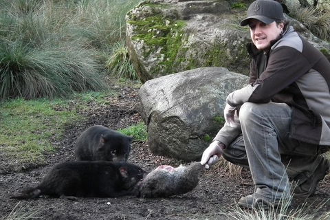 After Dark Tasmanian Devil Feeding Tour At Cradle Mountain - Timeshare Accommodation 0