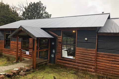 After Dark Tasmanian Devil Feeding Tour At Cradle Mountain - Timeshare Accommodation 6