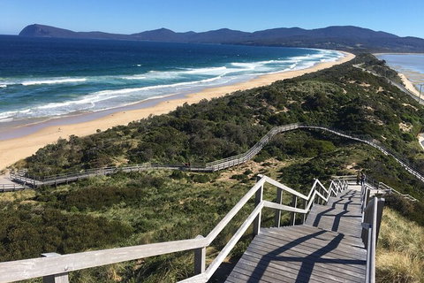4-Day Fabulous Tasmania Tour: Wineglass Bay, Port Arthur, Devils & Bruny Island - Timeshare Accommodation 3