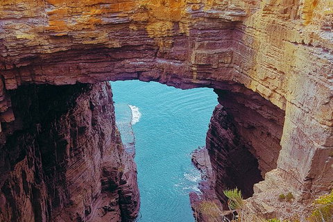 4-Day Fabulous Tasmania Tour: Wineglass Bay, Port Arthur, Devils & Bruny Island - Timeshare Accommodation 6