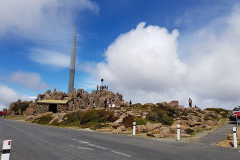 Mt. Wellington Morning Hike + Afternoon Beer & History Walk - Timeshare Accommodation 21