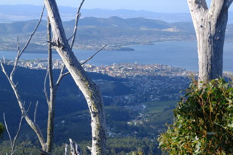 Mt. Wellington Morning Hike + Afternoon Beer & History Walk - Timeshare Accommodation 10