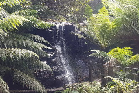 Mt. Wellington Morning Hike + Afternoon Beer & History Walk - Timeshare Accommodation 16